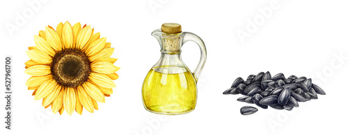 Sunflower oil, flower, seeds watercolor illustration set. Hand drawn glass bottle, flower, pile of seeds element set. White background. Sunflower oil element set