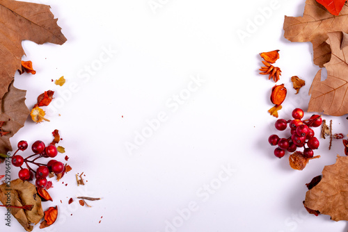 Composition of halloween decoration with dry leaves and copy space on white background