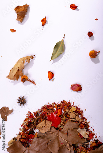 Composition of halloween decoration with dry leaves and seeds on white background