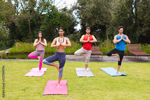 Female instructor teaching tree pose to men and woman on exercise mats during yoga session in park