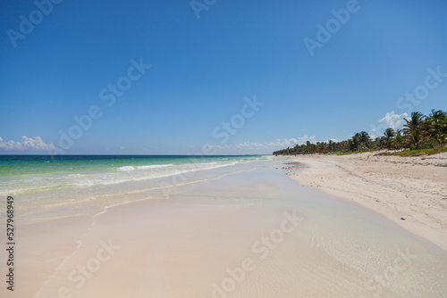 Playas de Tulum  Caribe Mexicano