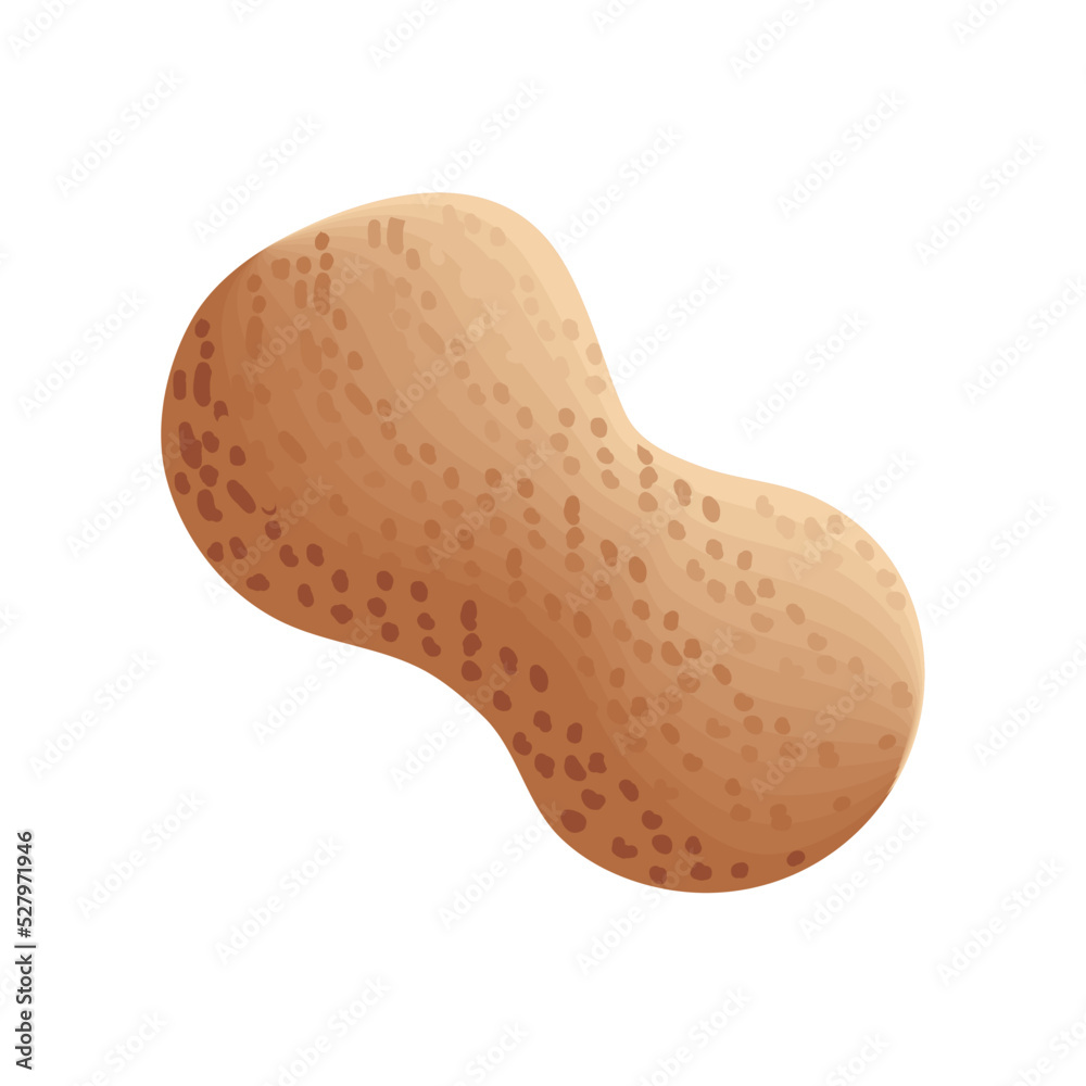 peanut isolated icon peanut isolated icon
