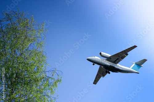 An airplane against a clear blue sky on a sunny day. Branches of cream trees with green leaves.