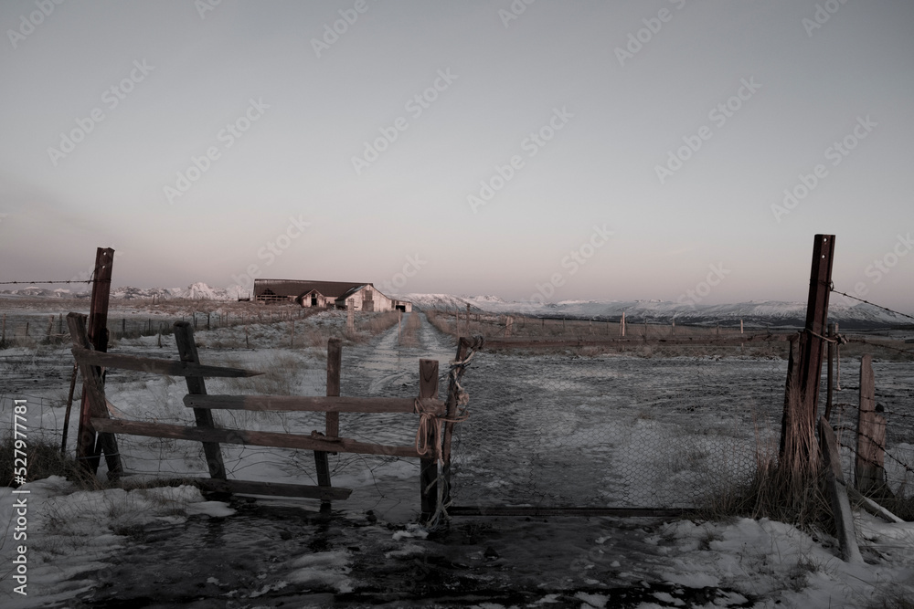 Rural escape - abandoned homestead