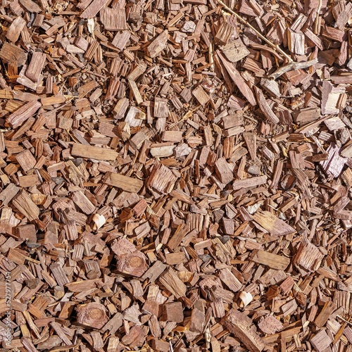 seamless texture of larch wood chips