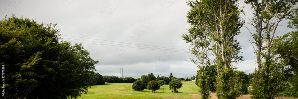 Obraz premium Fields and forest