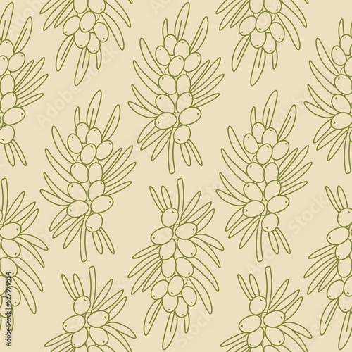 Seamless pattern with doodle sea buckthorn branch. Vector orange berry.