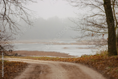 Wallpaper Mural autumn fog on a forest river Torontodigital.ca