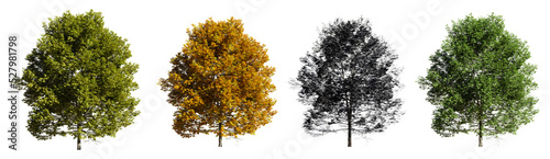 Collection of trees Isolated on transparent background. 3d rendering illustration. photo