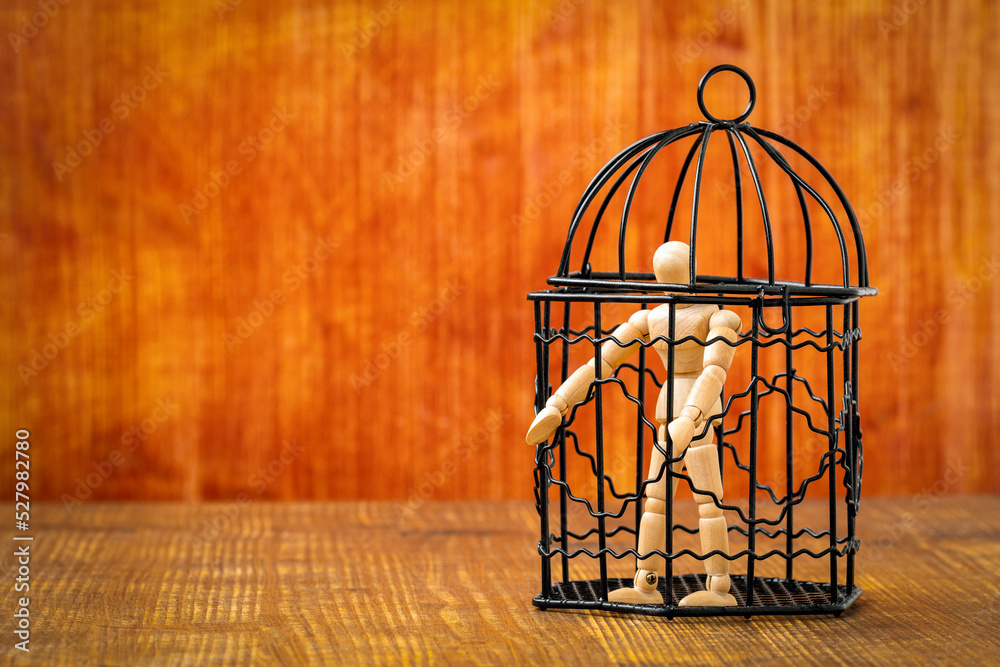 Photography Dummy inside a birdcage
