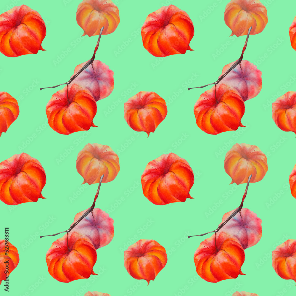 Obraz premium Physalis. A pattern of physalis. The flower of physalis. Pattern. Autumn flower. Winter cherry. Watercolor illustration on a colored background.