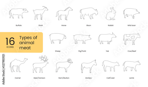 Types of animal meat, linear icon in vector.