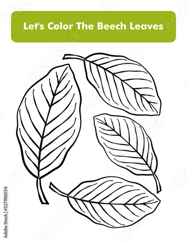 Beech Leaves Coloring Book Page In Letter Page Size. Children Coloring Worksheet. Premium Vector Element.
