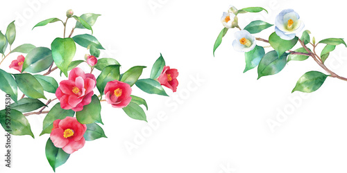 Print op canvas 紅白の椿の水彩イラスト。左右から伸びる枝の装飾フレーム。バナー背景。ヤブツバキ。（透過背景）