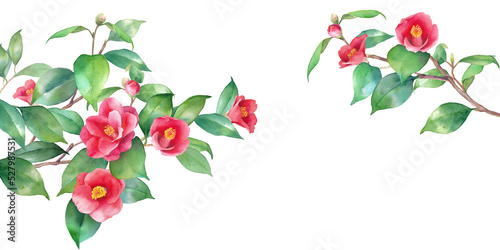 Print op canvas 赤い椿の水彩イラスト。左右から伸びる枝の装飾フレーム。バナー背景。ヤブツバキ。（透過背景）