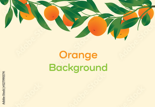 Orange fruit background design