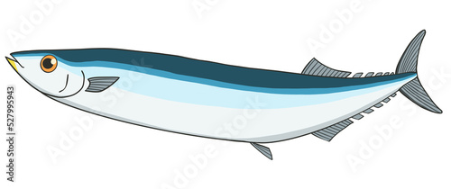 サンマのイラスト