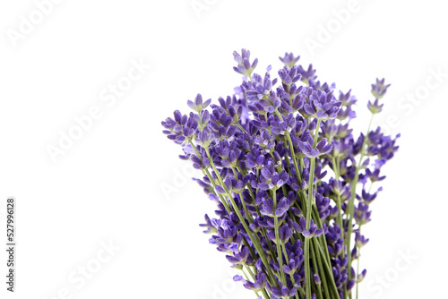Fototapeta Naklejka Na Ścianę i Meble -  Lavender flowers closeup isolated on white