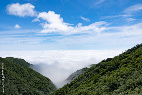 山と雲海 © KUZUMISAWA