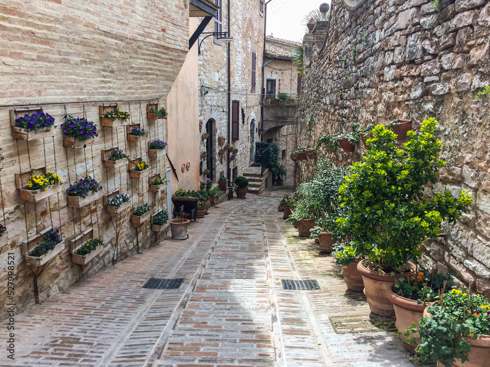 street in Spello, Italy