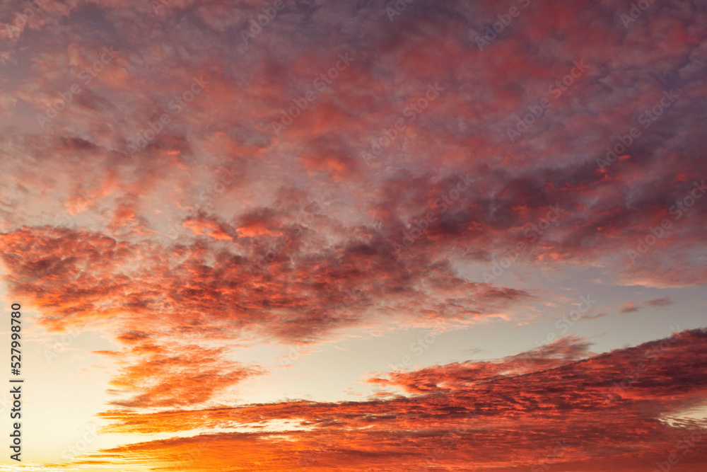 Fototapeta premium Orange sky after sunset or before dawn.