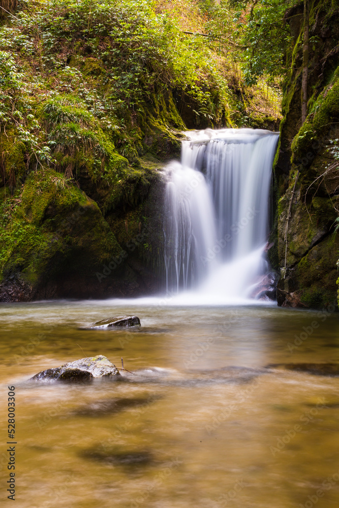 Obraz premium wasserfall im schwarzwald