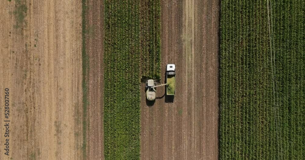 Combine harvester cutting Corn crops for silage. Combine harvester cutting Corn crops for silage.