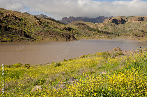 View of the Chira dam. San Bartolome de Tirajana. Gran Canaria. Canary Islands. Spain. photo