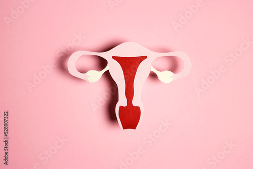 Uterus symbol  on pink background. © WindyNight
