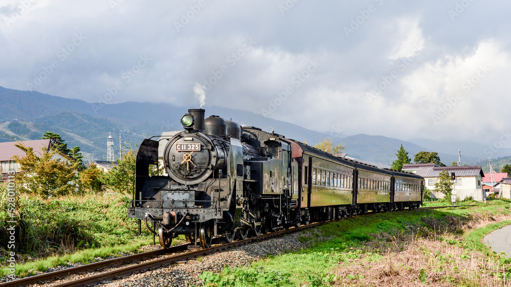 Fototapeta premium 蒸気機関車 C11系325号機 SL ディーゼル機関車