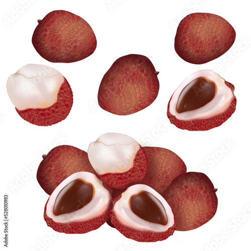 Fresh lychee exotic tropical fruit set  illustration