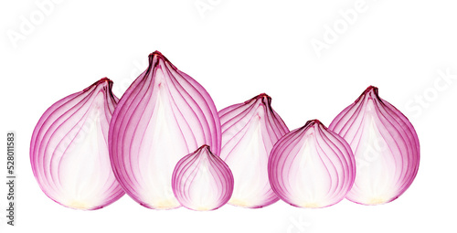 A red onion, sliced in half,