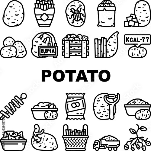 potato vegetable food fresh icons set vector. raw organic plant, sweet cut pile, farm agriculture slice, harvest field root potato vegetable food fresh black contour illustrations