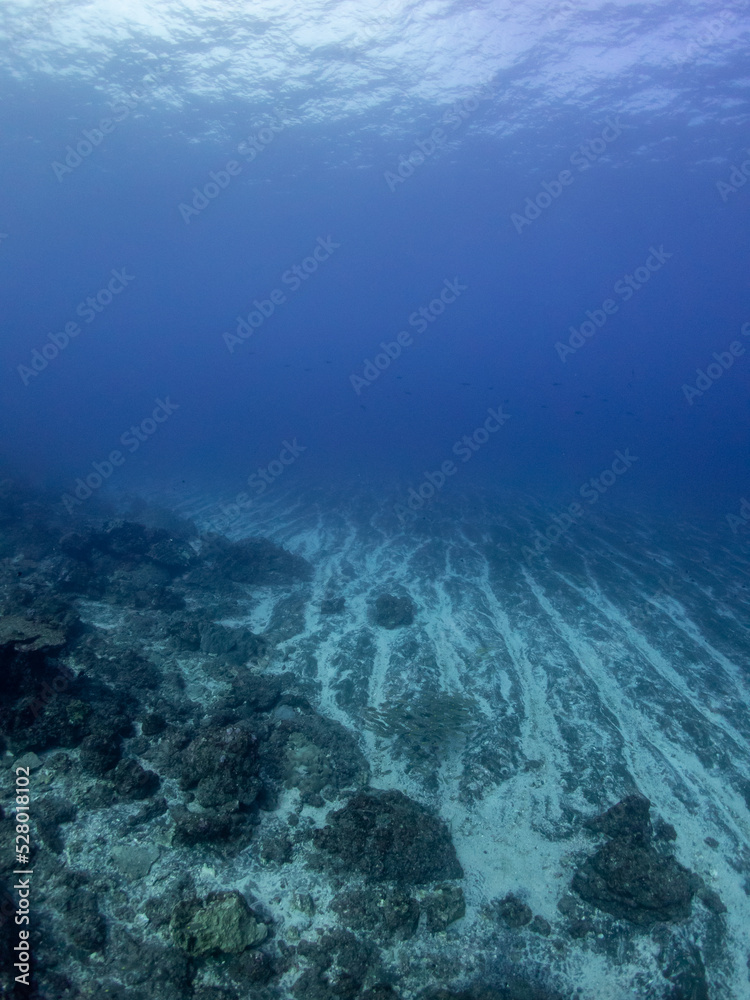 Fototapeta premium Divers and deep seascape of Reunion island