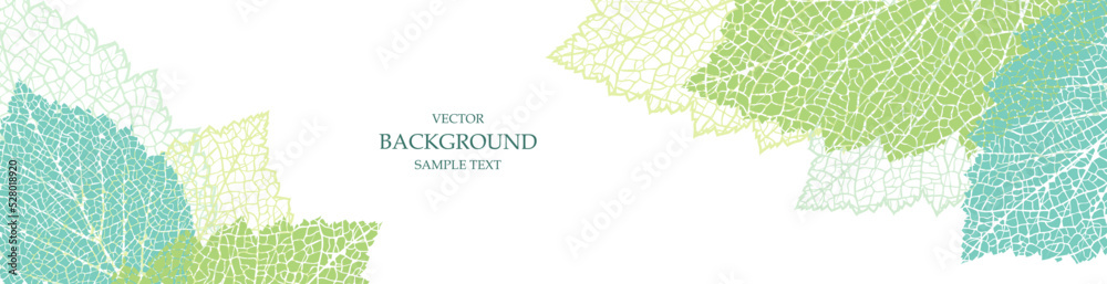 Obraz premium Floral vector banner with leaves. Seasonal plant print for greeting card, cover. Natural trendy design for business, holiday. Textured background. Botanical art.