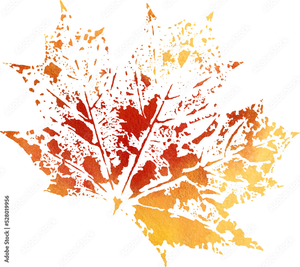 Maple Watercolor autumn leaf imprint. PNG.