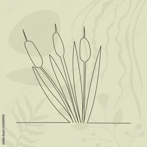 reeds drawing by one continuous line, on abstract background vector