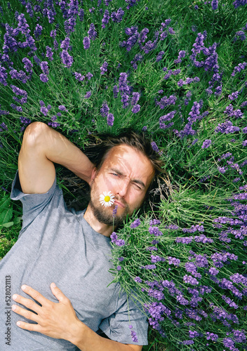 Young handsome bearded man with camomile in mouth lying among lavender flowers in blossom field. Happy smiling guy relax on the grass on sunny summer day feeling connection with nature.