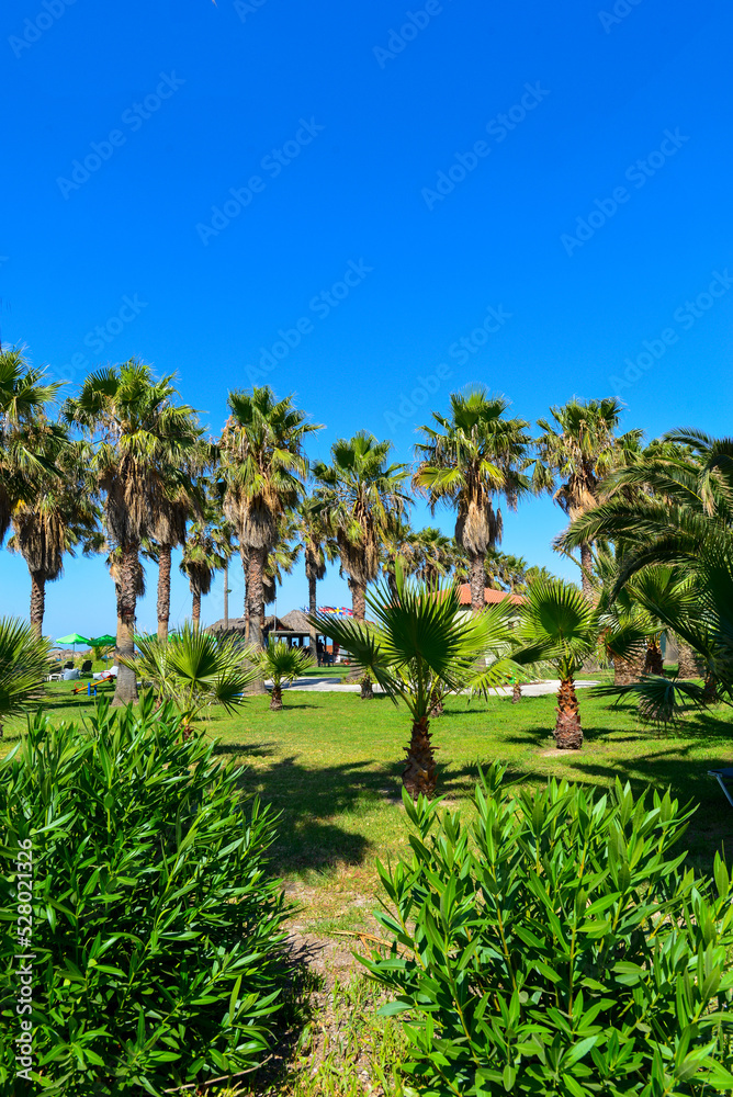 Obraz premium Paralia Kourna/Georgioupoli-Chania/Kreta (Griechenland) 
