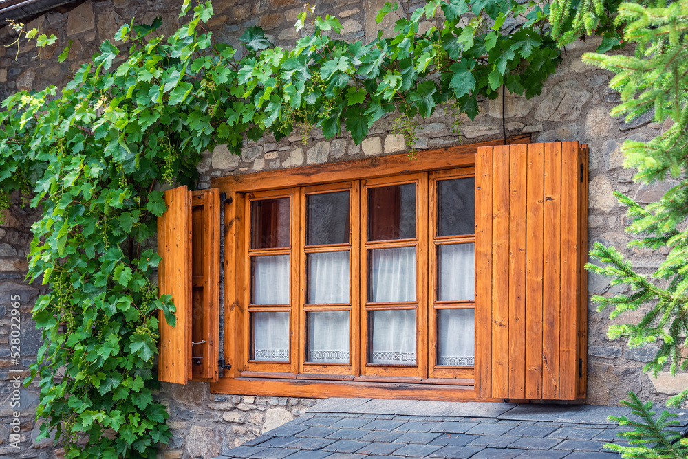 Wooden window with green leaves