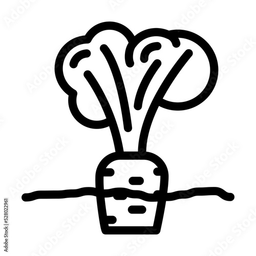ground carrot line icon vector. ground carrot sign. isolated contour symbol black illustration