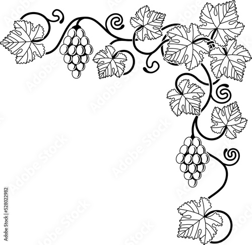 Grape vine design element