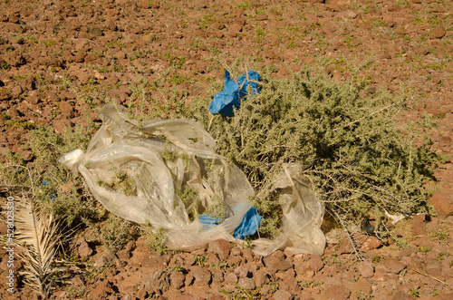 Southern boxthorn Lycium intricatum covered with plastic debris. Arinaga. Aguimes. Gran Canaria. Canary Islands. Spain. photo