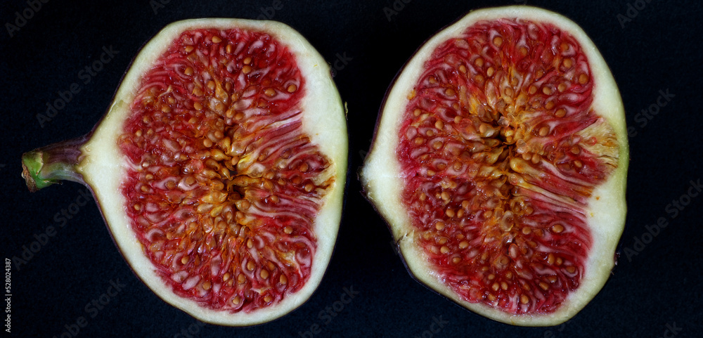 Feige, Feigen, Maulbeergewächse, Echte Feige,
Obst, Frucht, Früchte, Feigenbaum, Nachtisch,
Feige, Feigen, Maulbeergewächse, Echte Feige,
Obst, Frucht, Früchte, Feigenbaum, Nachtisch,