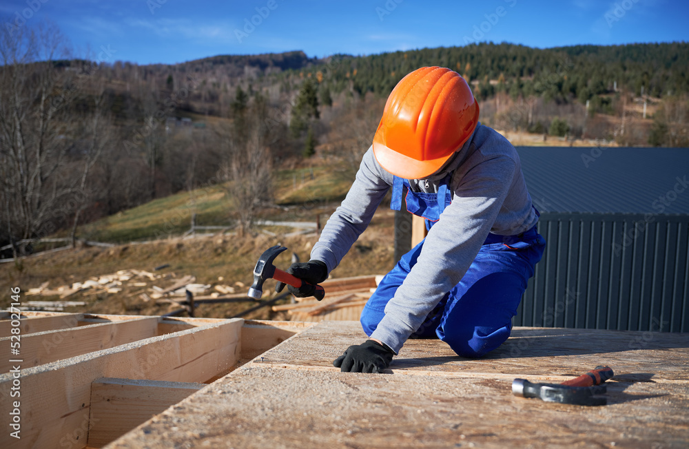 Carpenter hammering nail into OSB panel on the roof top of future cottage. Man worker building wooden frame house. Carpentry and construction concept. Carpenter hammering nail into OSB panel on the roof top of future cottage. Man worker building wooden frame house. Carpentry and construction concept.
