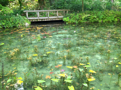 A pond with high transparency and a bridge for humans