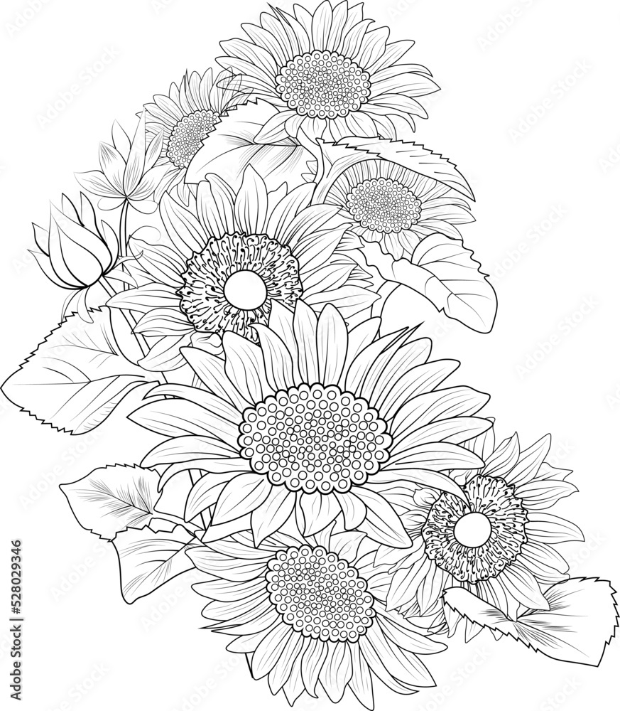Fototapeta premium bouquet of sun flower hand drawn botanic illustration vector art leaf branch isolated floral pencil sketch coloring page for adult