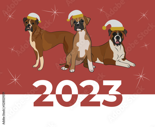 Boxer breed, dog pedigree drawing. Cute dog characters in various poses, designs for prints, adorable and cute Christmas boxer cartoon vector set, in different poses. Flat cartoon style.