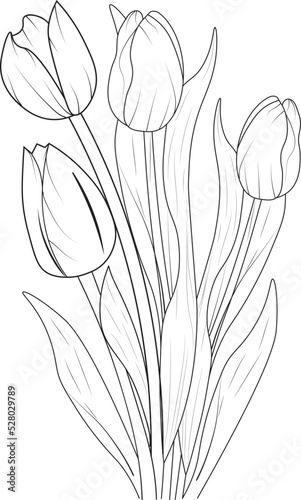 black and white hand drawn  tulip flower botanic collection  pencil sketch of vector illustration natural leaf  summer floral coloring page for adult and children.