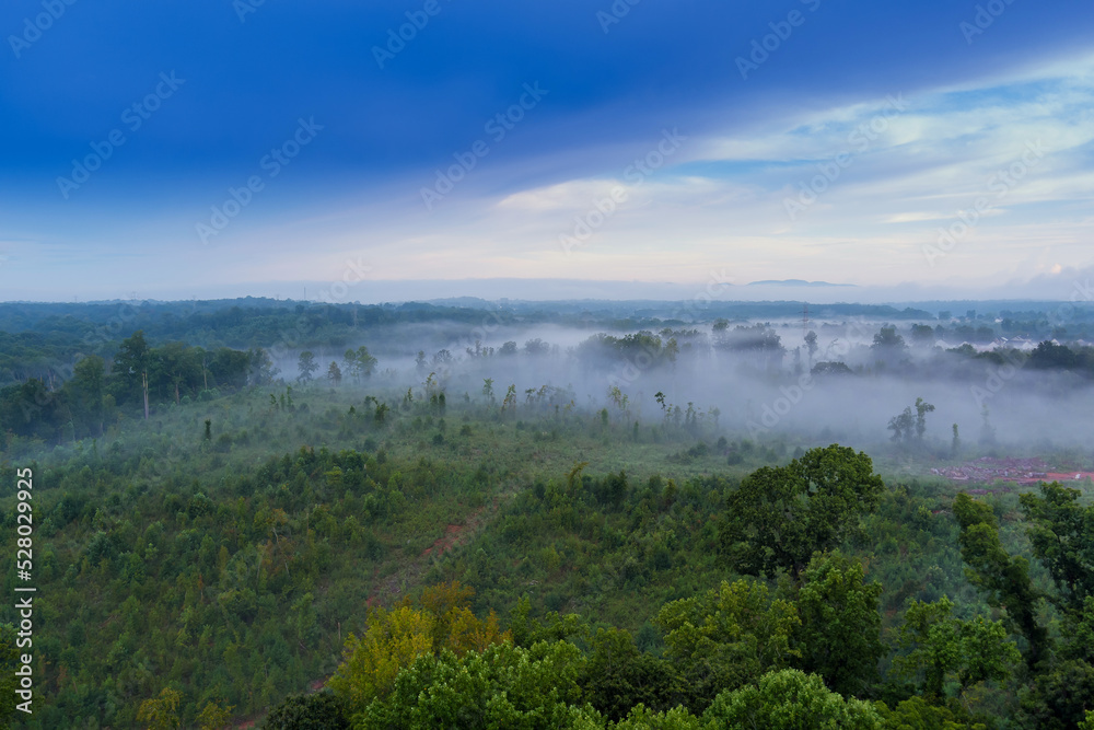 As the summer season is full swing in South Carolina, there is lots of fog mornings over forest